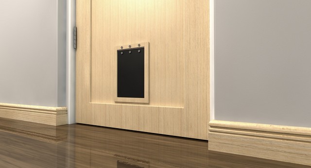 Cat Flap Installation Edgware, Burnt Oak, HA8