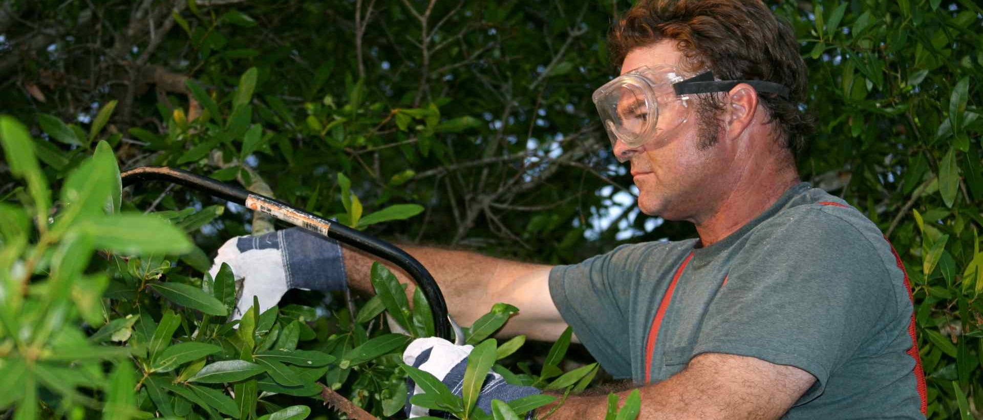 garden clearance HA8