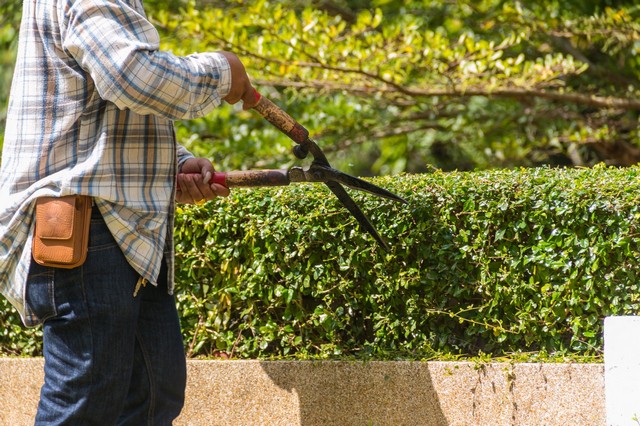Garden Maintenance Edgware, Burnt Oak, HA8